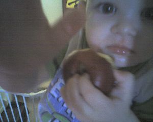 img055.jpg